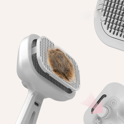 Type-c Rechargeable Pet Spray Disinfection Self-cleaning Comb Pet Massage Comb Steam Brush for Hair Care